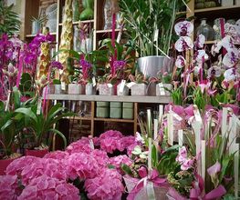Boutic'Flor image 7