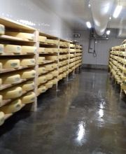 Longevilles Mont d'Or Fromagerie Arnaud image 4