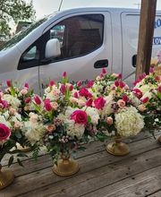 Broad Brook Gardens image 17