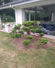 PESTEL PAYSAGE EURL image 4