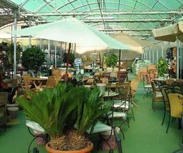 Fantastic Gardens imagen 18