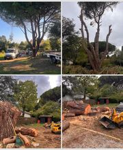 Entretien Jardin 47 image 1