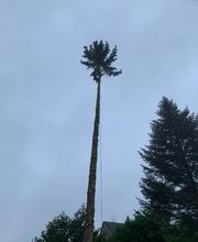 MD Saintrapt image 5