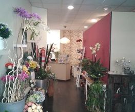 IMG_20170818_171856.jpg