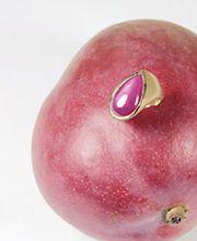 Frischmuth Christine Bild 2