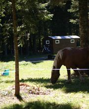 Auberge Loisirs Le Sillet SARL image 4