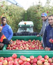 Nature d'Anjou image 2