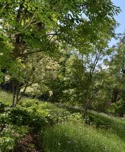 André Hürlimann GmbH Bild 3