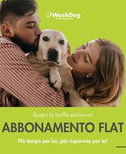 WashDog Bellinzona Bild 10