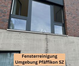 Sopa Reinigung Bild 9