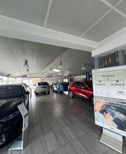 Ford Bergerac - PAROT image 3