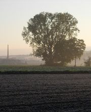 Gemeindeschreiberei Einwohnerkontrolle Kallnach Bild 5