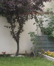 la Thibaudière - Grand Paris image 14