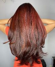 Chameleon & Company image 2