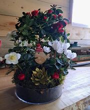 Christophe Abel Paysage image 6