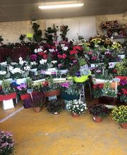 Ets Melin Sylvain image 1