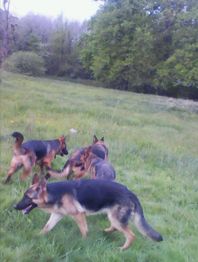 Guiberteau Jean-Pierre