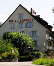 Thoma Dach Spengler Fassade Solar AG Bild 3