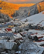 Pension Steinbergsblick Bild 20