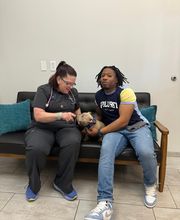 COTA Veterinary image 17