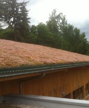 Sequoia Paysage image 11