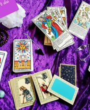 Quinté Sens image 5