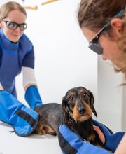 Tierarzt Vlotho, Tierarztpraxis am Roseneck Bild 5