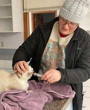 Crawfordsville Family Vet image 12