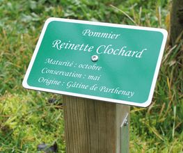 CITER PUBLICITE image 8