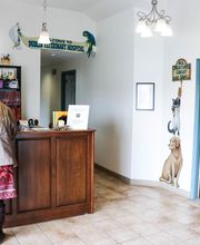 Dublin Veterinary Hospital image 1