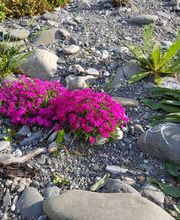 Winteler  GmbH Facility S plus Bild 9