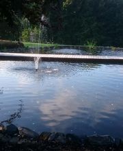 Exklusive Gärten Osnabrück Bild 3