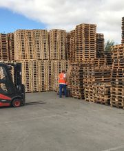 PSN PALETTES image 2