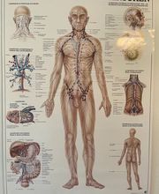 Medizinische Massagepraxis Enz Martina Bild 12