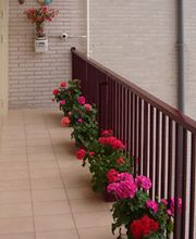 18277632-1-ufQVkAgOl01522754107046.jpeg