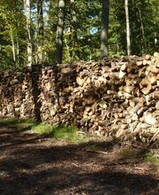 MONSIEUR LETELLIER DOMINIQUE image 4