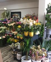 Fleurs du Méné image 2