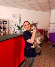 Fashion Dog image 15