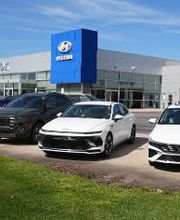 Fox Hyundai image 5
