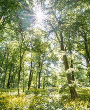 Herrenhaus Samow Bild 10