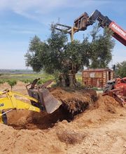 Hormigones Probasa imagen 13