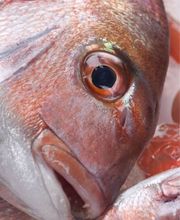 Julio Pérez SL imagen 3