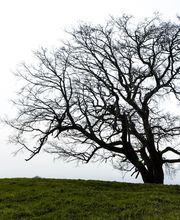 Utopikphoto image 13