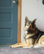 Barta Animal Hospital image 9