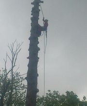 Entreprise Lecoq image 16