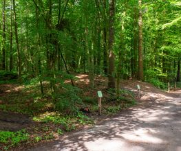 FriedWald Cloppenburg Bild 8