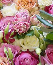 Bluemeland Soledurn GmbH Bild 1