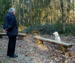 RolfsRudel Hundeschule / Rolf Matar Bild 19