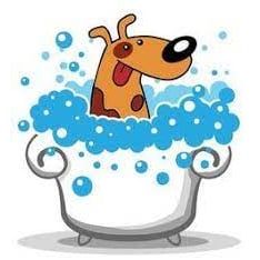 Hundepflege Salon Fein-Gemacht