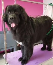 O'poils By Delphine image 1